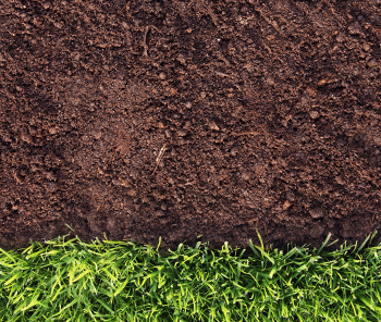 Weed Man's Soil Test