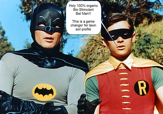 Dynamic Duo Service